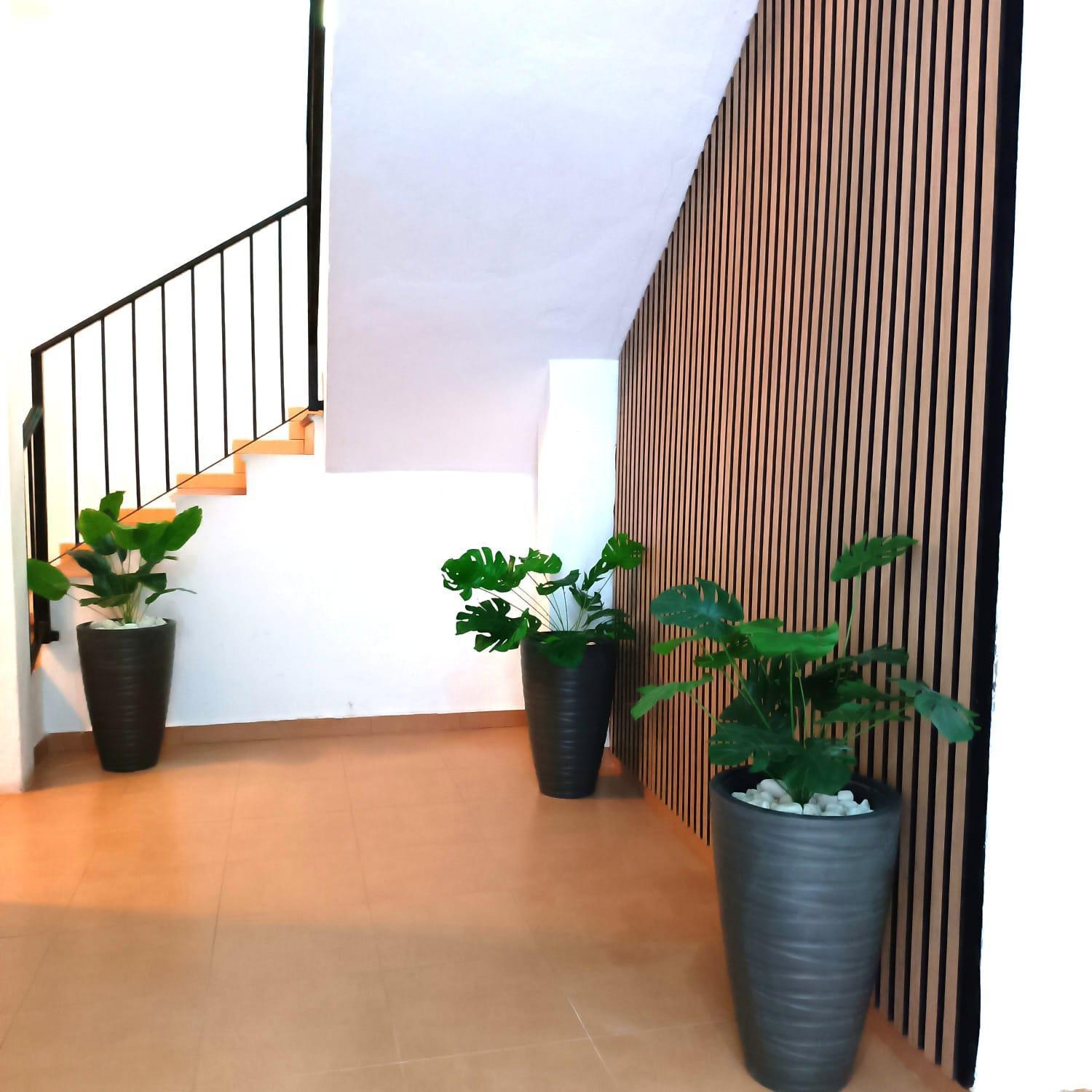 Apartamentos Calle Nueva مالقة المظهر الخارجي الصورة